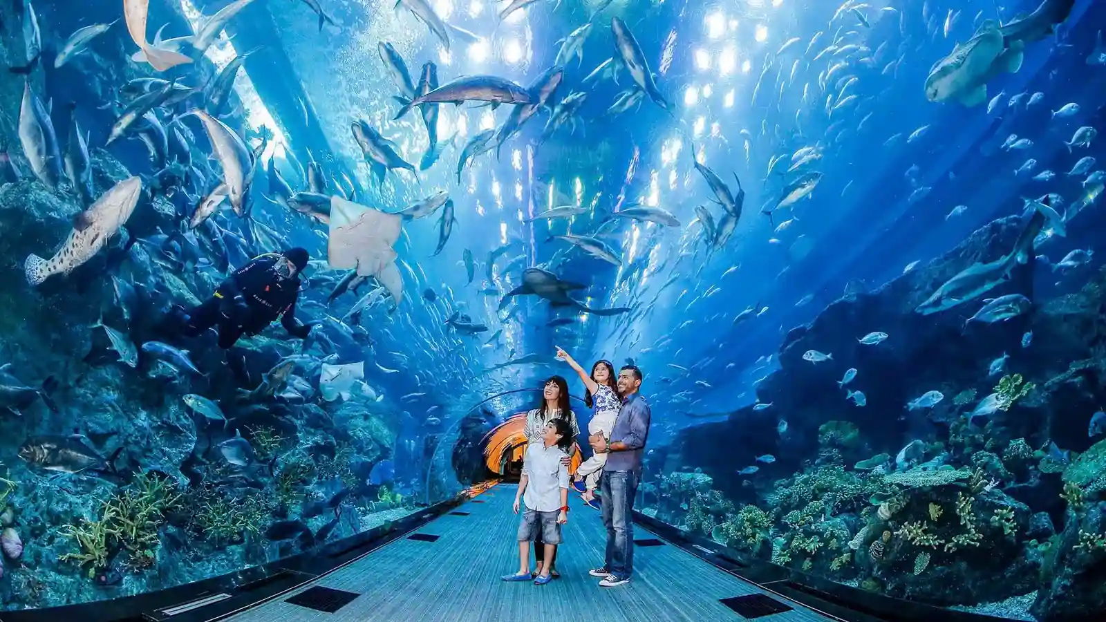 Dubai Aquarium & Underwater Zoo